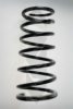 SPIDAN 55873 Coil Spring